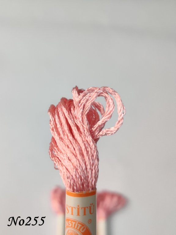 255 (DMC224) (1) (Medium)